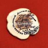 Магнит - срез из можжевельника "Алтай"_1 mag16